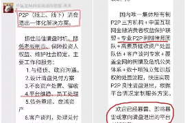 南岔为什么选择专业追讨公司来处理您的债务纠纷？